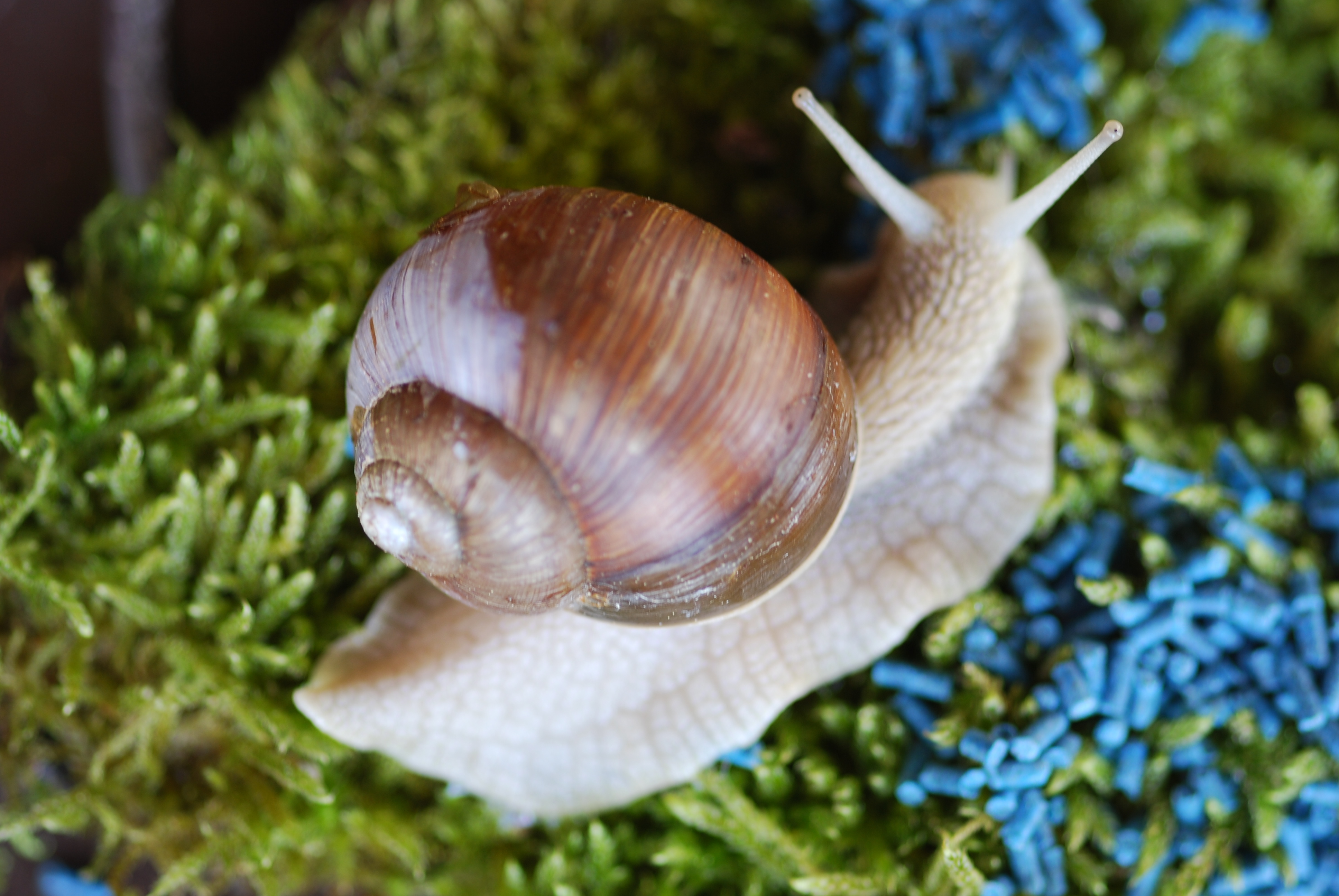 Agrar- und Gartenbedarf - Schädlingsbekämpfung